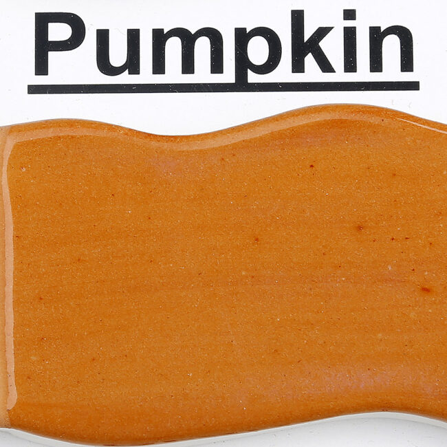 The Clay Lady's Pumpkin Clay Paint