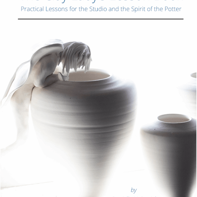 The Clay Lady's Lesson Book by Danielle McDaniel